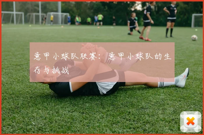 意甲小球队联赛：意甲小球队的生存与挑战