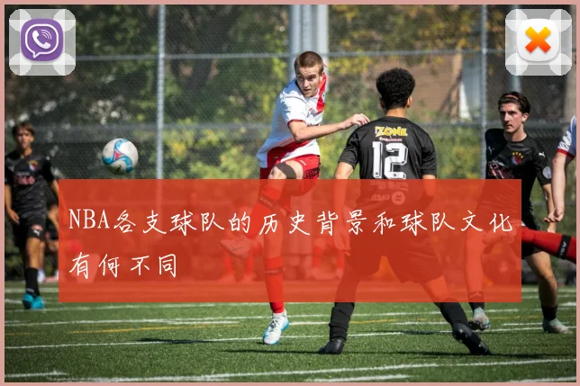 NBA各支球队的历史背景和球队文化有何不同