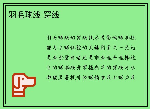 羽毛球线 穿线